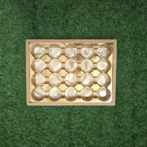 مقسم ۲۰ خانه گرد سوییسی
